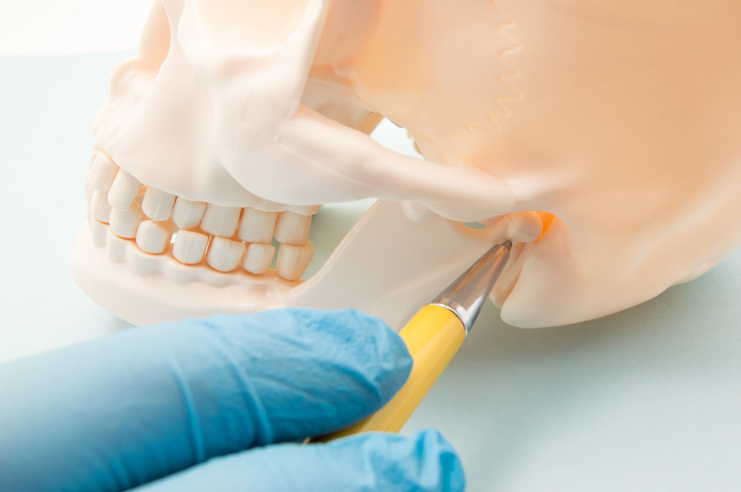 articulación temporomandibular